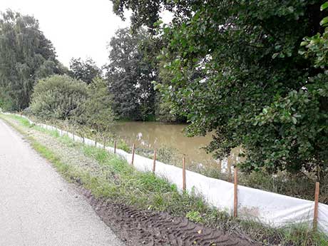Provedení udržovacích prací Dolní Svince – rybník III, stav před rekonstrukcí