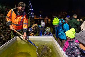 Zpívání pod vánočním stromem, Dolní Třebonín 21. prosince 2024, foto: Lubor Mrázek