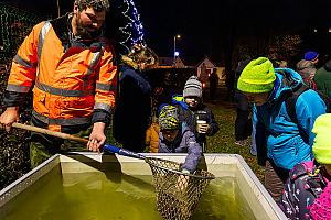 Zpívání pod vánočním stromem, Dolní Třebonín 21. prosince 2024, foto: Lubor Mrázek