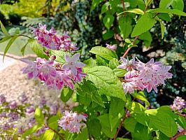 Adventure minigolf, Hluboká nad Vltavou 14. 6. 2025