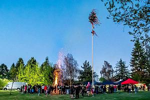 Pálení čarodějnic, Dolní Třebonín 30. 4. 2026, foto: Lubor Mrázek
